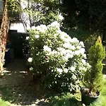 ** Im Weltkulturerbe Nahe Loreley Niederburg