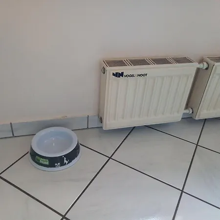 ** Im Weltkulturerbe Nahe Loreley