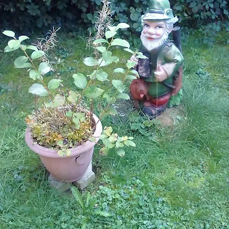 Lägenhet ** Im Weltkulturerbe Nahe Loreley