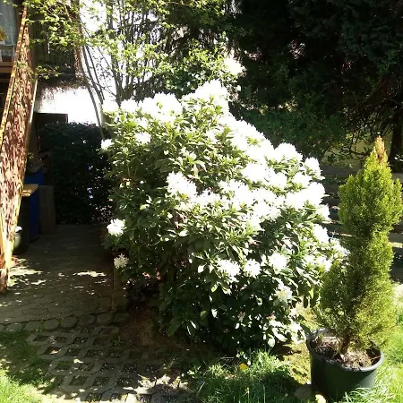 ** Im Weltkulturerbe Nahe Loreley Niederburg