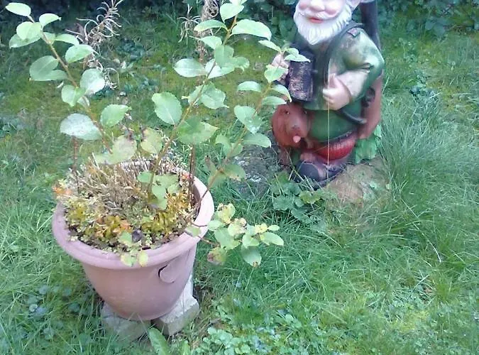 Apartment ** Im Weltkulturerbe Nahe Loreley