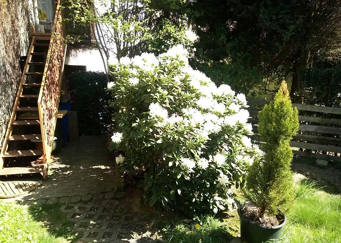 ** Im Weltkulturerbe Nahe Loreley Niederburg